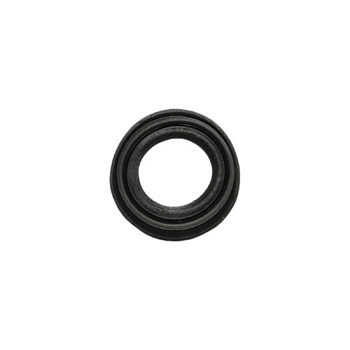 Motor Seal